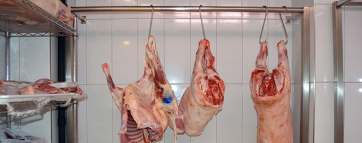 В Армении действует 40 скотобоен (ФОТО)