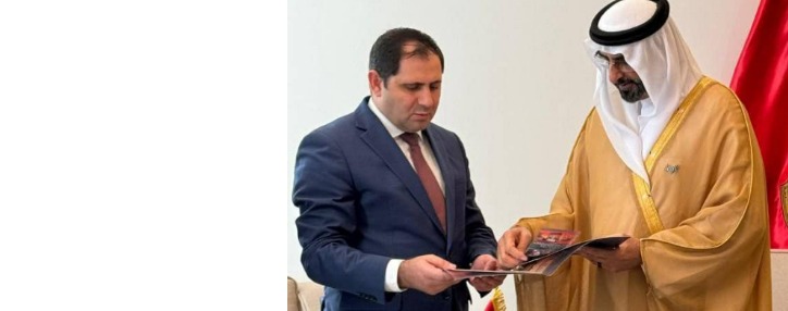 Պապիկյանն ԱՄԷ պաշտպանության պետնախարարի հետ քննարկել է ՀՀ–ԱՄԷ համագործակցությունը պաշտպանության ոլորտում