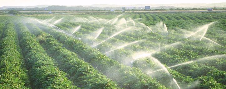 Армения и ВБ планируют реализацию программы по реформам в сельском хозяйстве