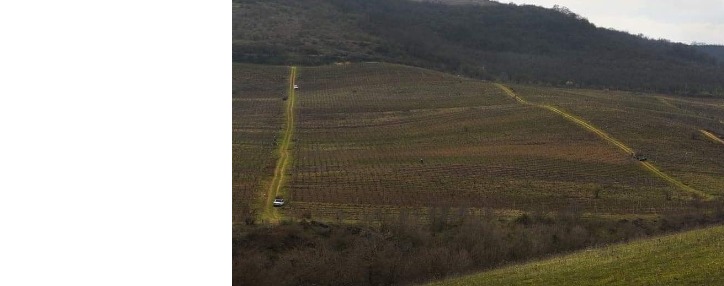 Ադրբեջանն առավոտյան երկու անգամ կրակ է բացել Արցախի խաղաղ բնակիչների ուղղությամբ