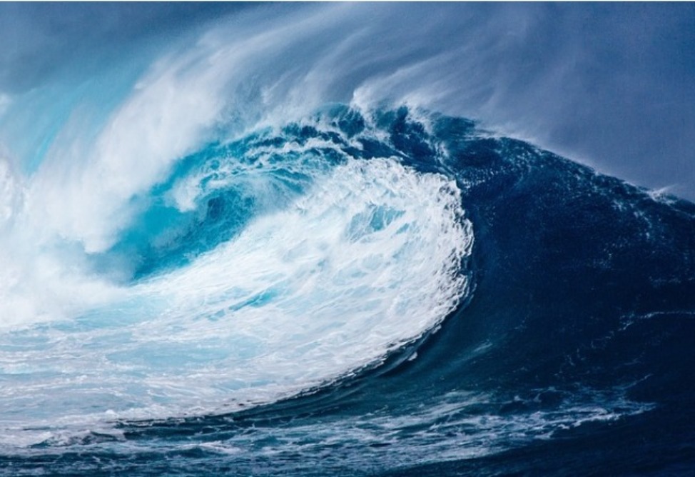 Հայաստանը միացել է «ՄԱԿ-ի ծովային կենսաբազմազանության պաշտպանության մասին համաձայնագրին»