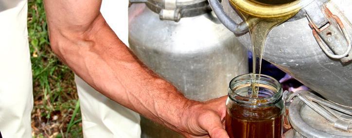 Բերդում կանցկացվի Մեղրի և հատապտուղների ավանդական փառատոնը