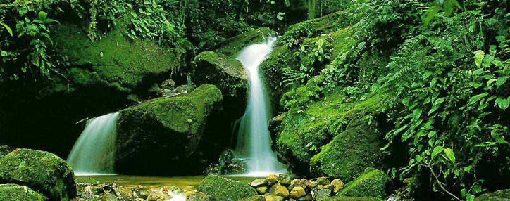 «Արևորդի» չորրորդ բնապահպանական փառատոնը կանցկացվի Երևանում հոկտեմբերի 7–27–ը