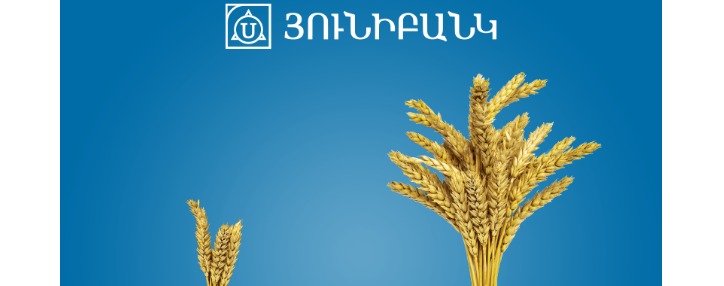 Յունիբանկը թողարկել է 10.5% և 5.3% եկամտաբերությամբ դրամային և դոլարային պարտատոմսեր