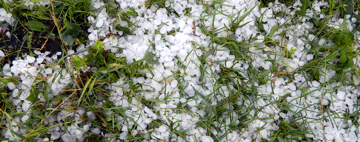 Հայաստանի Արմավիրի մարզում կարկտահարության հասցրած վնասը մոտ 25 մլրդ դրամ է կազմել. պատգամավոր