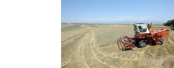 ԱԿԲԱ-ԿՐԵԴԻՏ ԱԳՐԻԿՈԼ ԲԱՆԿԸ և EFSE–ն 10 մլն դոլար կտրամադրեն գյուղատնտեսությանը և ՓՄՁ ֆինանսավորմանը