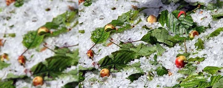 Премьер-министр Армении поручил разработать программу установки противоградовых станций