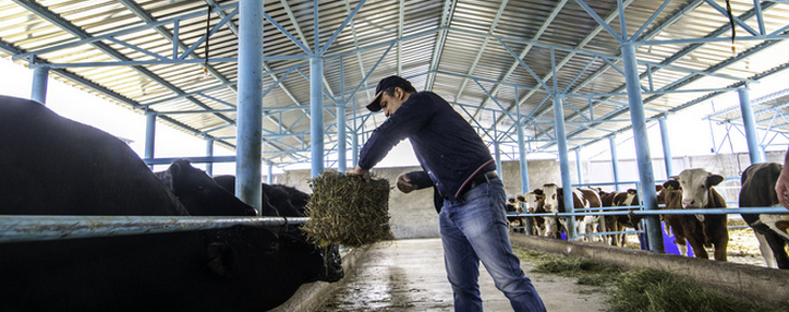 ЕАБР, WFP и «Еремян Проджектс» реализуют совместную программу в школах Армении 