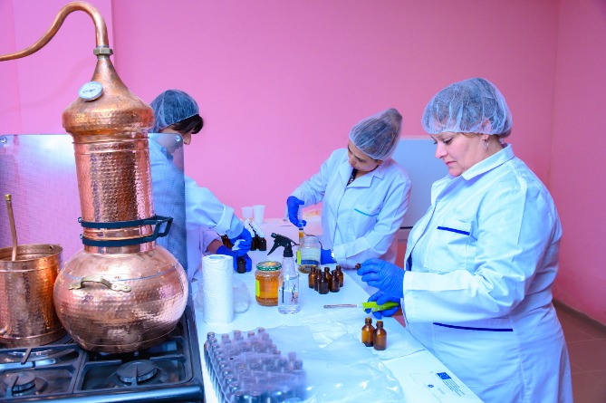 Production of natural vegetable oils established in Spitak