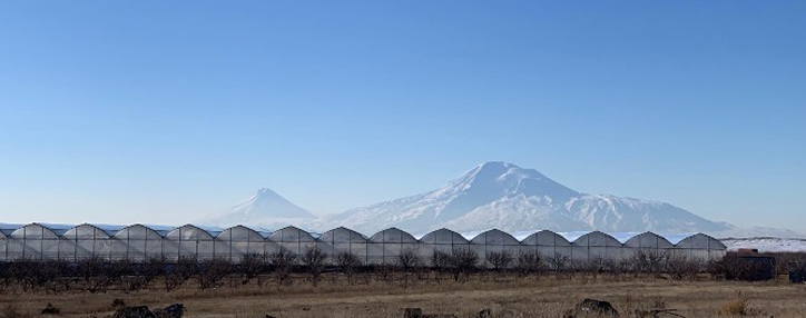 Объем привлеченных ANIF прямых иностранных инвестиций составляет 84,6 млрд. драмов