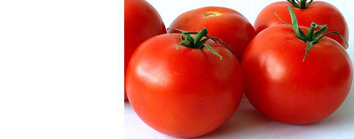 «Помидорные войны» с Турцией обошлись России в $1,5 млрд