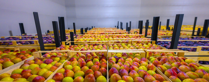 Acba Leasing's partner FULL COOL refrigeration facility can store up to 10 thousand tons of products (video)