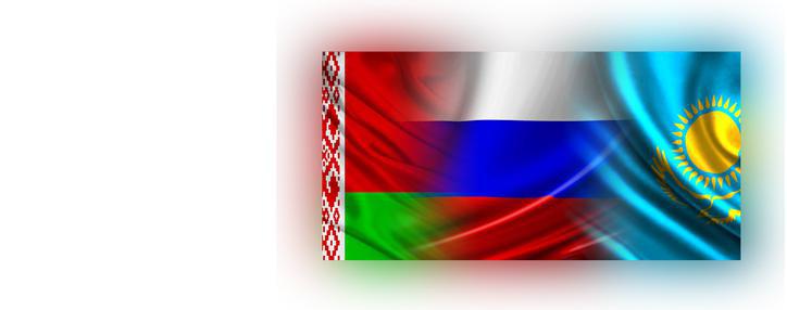 Մաքսային միություն Հայաստանի մտնելուն մոտ կես տարի կպահանջվի. Շուվալով