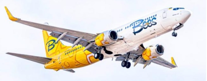 Bees Airline начала выполнение полетов Киев-Ереван-Киев