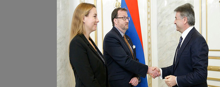 Армения достигла успехов в борьбе с коррупцией – посол США 