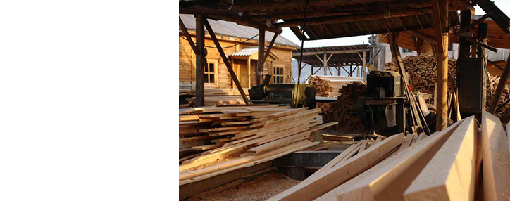 Армения, Китай и Омская область РФ создают СП по лесопереработке