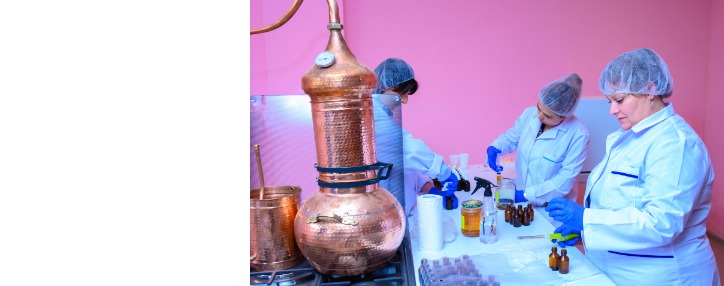  Սպիտակում հիմնվել է բնական բուսական յուղերի արտադրություն (ՎԻԴԵՈ)