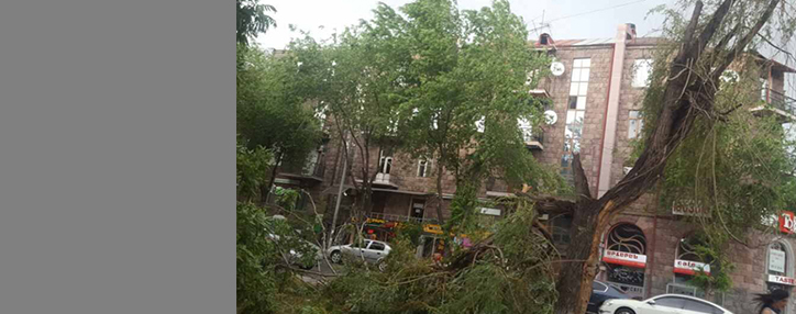 Град, ливень и ураган нанесли серьезный ущерб Тавушской области