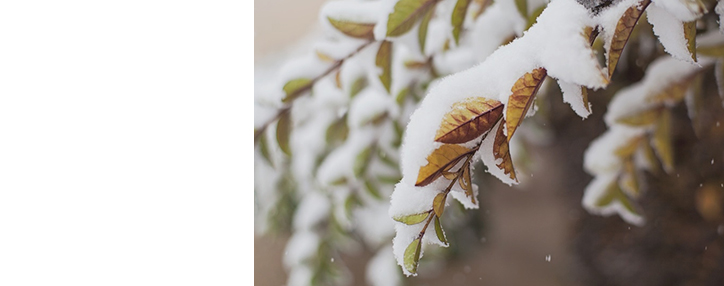 Арктический фронт из Скандинавии надвигается на Армению: ожидаются резкое похолодание и обильные снегопады