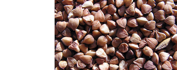 В России гречка, овсянка и хлопья с ноября могут подорожать 