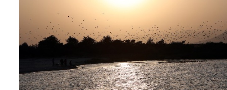 Министр окружающей среды Армении объяснил, почему "зацвел" Севан 