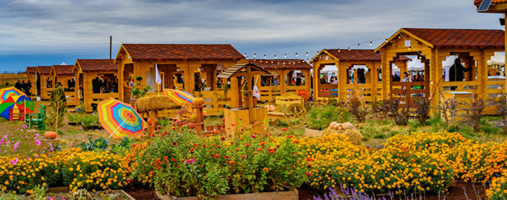 Современное сельское хозяйство невозможно без инноваций