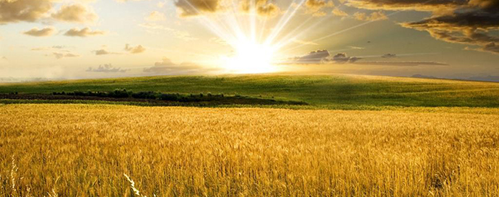 Армянские общины будут получать часть средств от продажи госземель