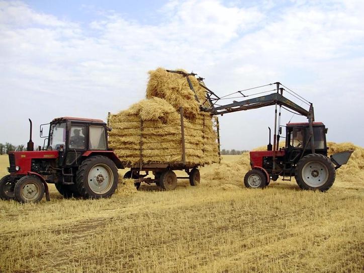 Беларусь готова организовать сборку сельхозтехники в Армении – посол