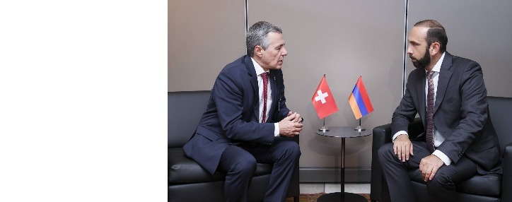 Азербайджан продолжает политику этнических чисток в Арцахе: Мирзоян - швейцарскому коллеге 