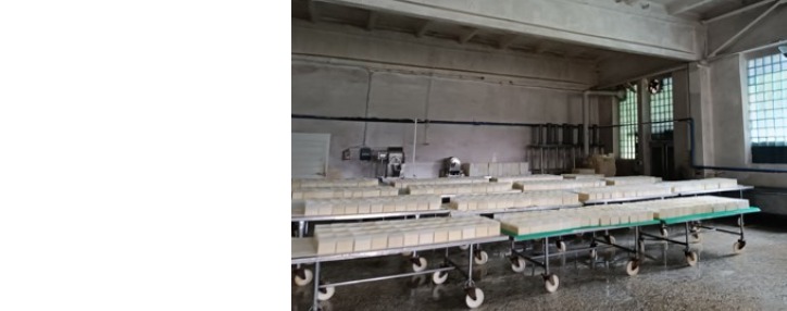 Կասեցվել է պանրի արտադրամասի գործունեություն (ՖՈՏՈ)