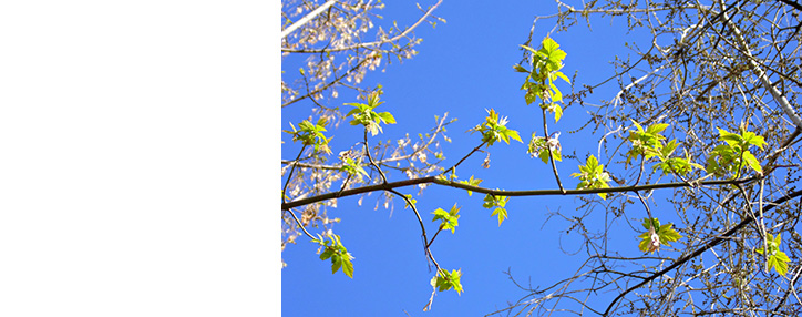 Rains expected in Armenia this week