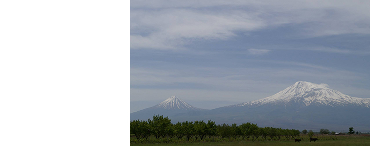 В Армении наблюдается сокращение двуокиси азота в воздухе – Минокружающей среды