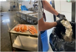 По следам ЧП на приеме в посольстве Франции в Ереване: регулятор сообщил о выявленных причинах отравления