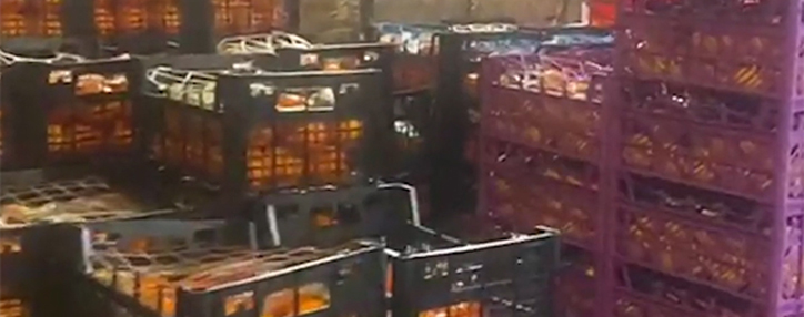 В Армении раскрыт случай продажи овощей и фруктов без расчетных документов