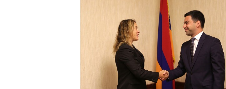 ՊԵԿ նախագահը համագործակցության հարցեր է քննարկել ԱՄՆ արդարադատության դեպարտամենտի թմրամիջոցների դեմ պայքարի վարչության տարածաշրջանային ղեկավարի հետ