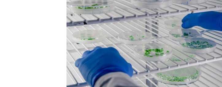 Минздрав Армении получил от России мобильную биологическую лабораторию