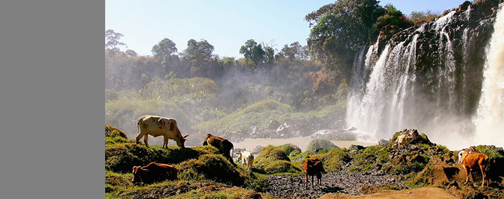 Эфиопия - экономическое чудо Африки