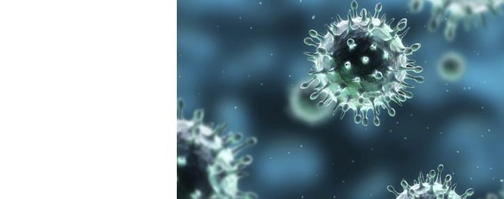 Not a single child death in Armenia directly caused by H1N1