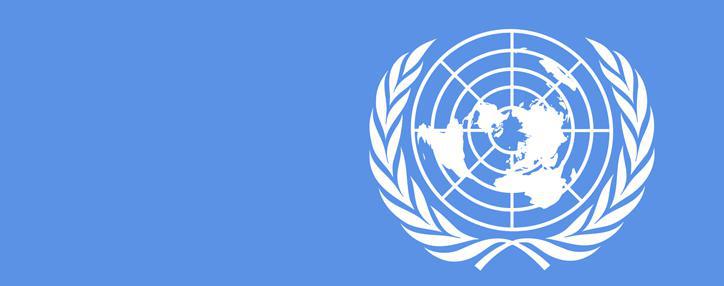 Мовсес Абелян назначен замгенсека ООН по делам Генассамблеи и конференционному управлению