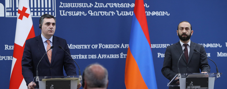 Ереван и Тбилиси имеют большой потенциал для экономического сотрудничества – глава МИД Грузии
