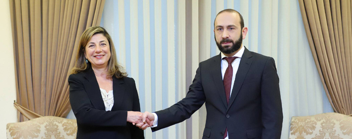 Мирзоян обсудил с гендиректором Международной комиссии по пропавшим без вести лицам расширение возможностей лабораторий в Армении