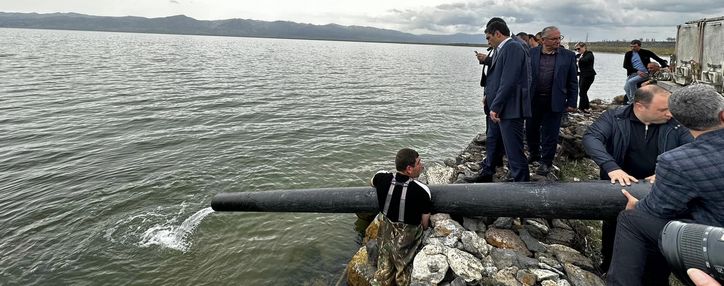  В озеро Севан выпущено более 130 тыс. мальков ишхана 