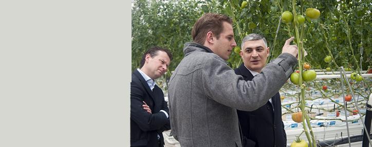 Президент Армении ознакомился с деятельностью парниковых хозяйств в Котайкской области, работающих по современной технологии