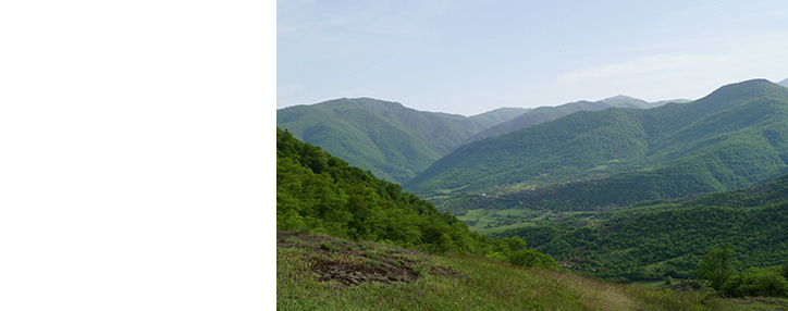 В Арцахе азербайджанцы стреляли по мирным жителям, работавшим на сельской пашне