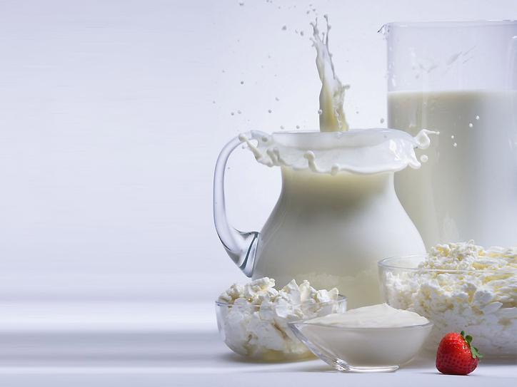 US-based company may acquire Armenian dairy plant