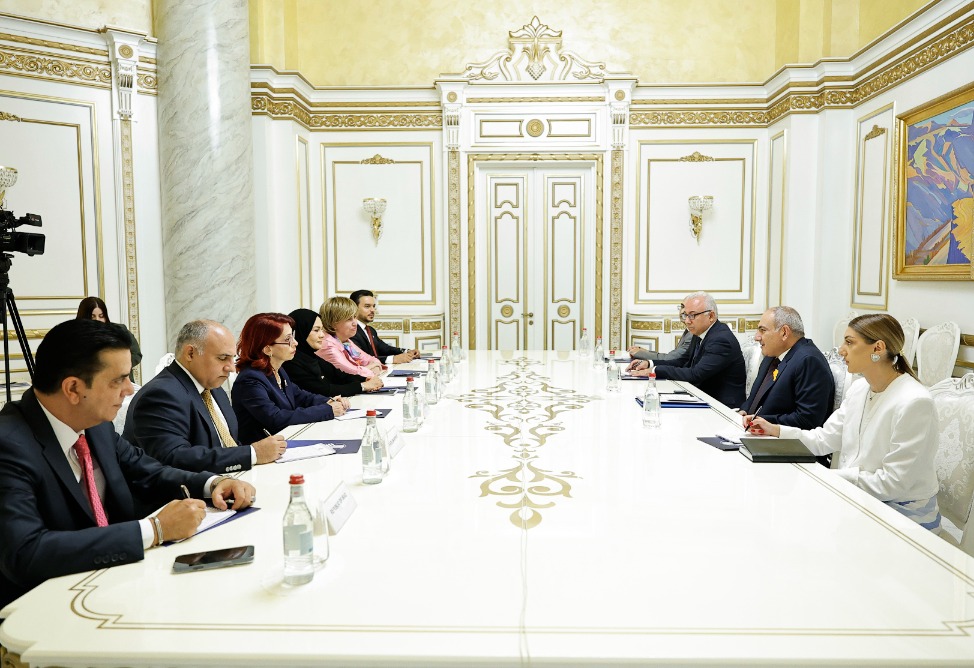 Pashinyan discusses implementation of TRIPP project with Arab ambassadors