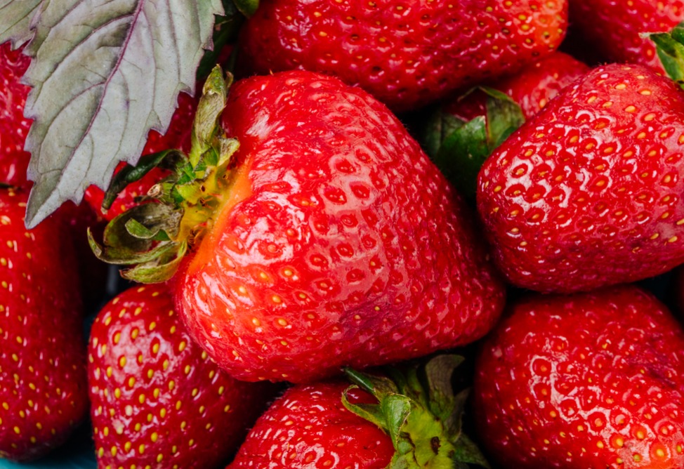 Հայաստանը 961 մլն դրամ կներդնի ելակի ջերմոցի կառուցման համար