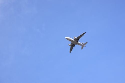 New flights between Armenia and China under discussion — Head of Tourism Committee