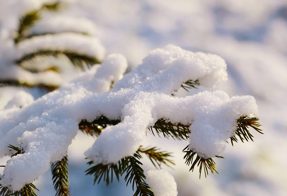 Snowfalls and a sharp cold snap expected in Yerevan
