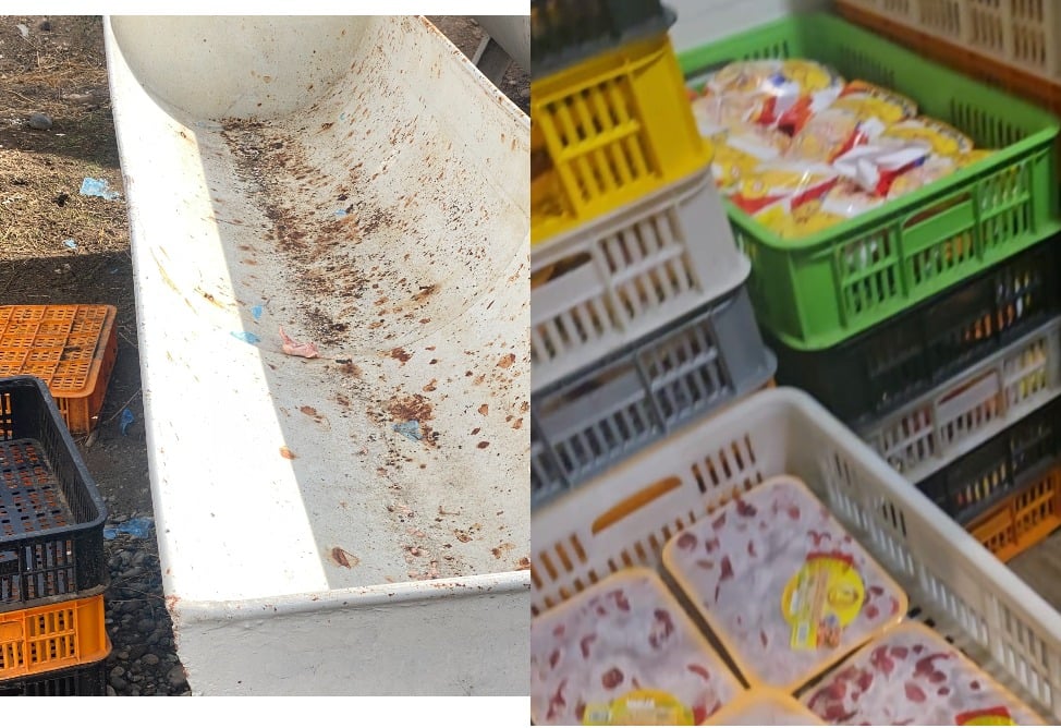 Regulator suspended operations at one of the Aygek Poultry Farm's production facilities due to non-compliance with hygiene standards